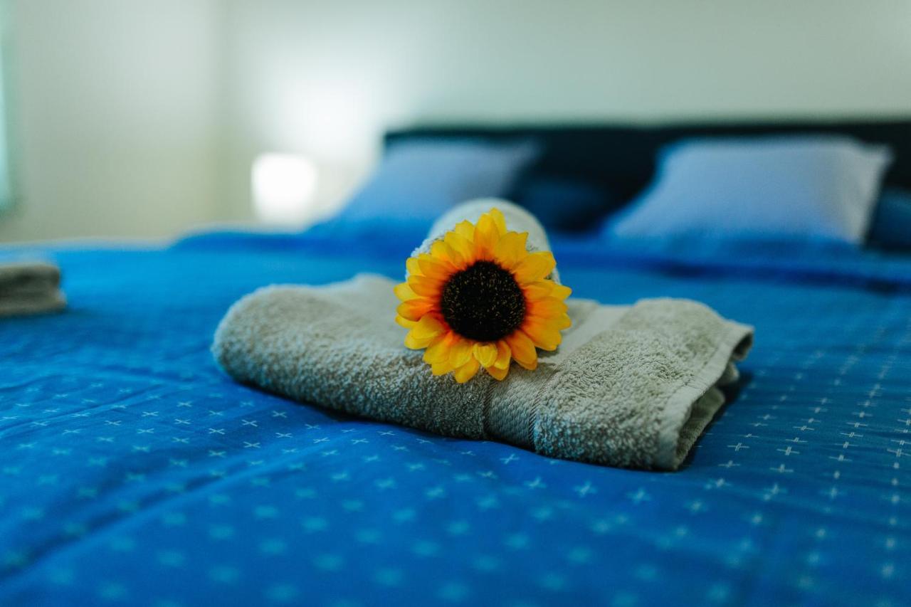 Sunflower 松博尔 外观 照片